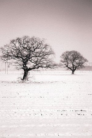 Barnby Dun snow