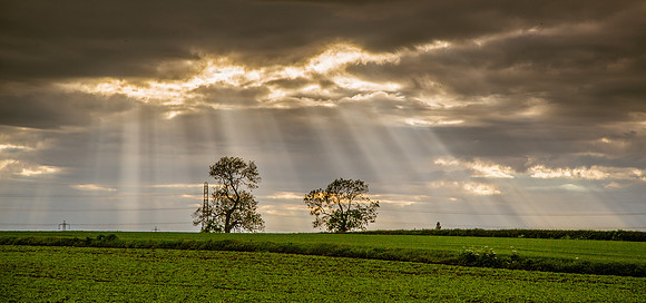 Crepuscular sun rays