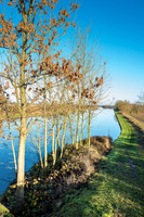Leica Q canal walk dec16-20