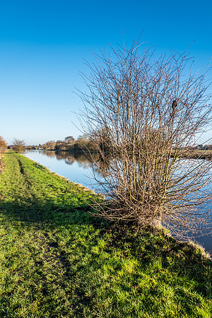 Leica Q canal walk dec16-40