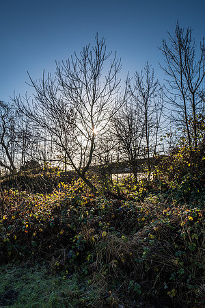 Leica Q canal walk dec16-61