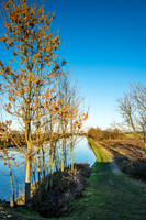 canal fields Jan17-7