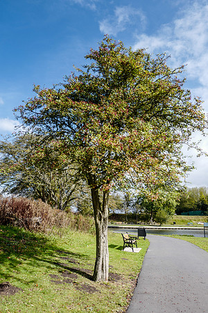 cantley68-25
