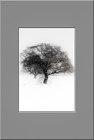 Barnby Dun snow