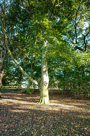 Cantley2-25