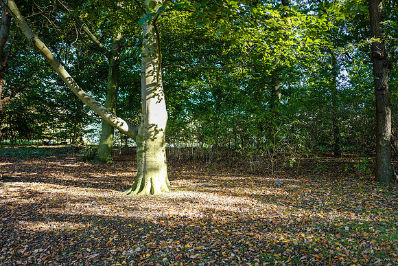Cantley2-24