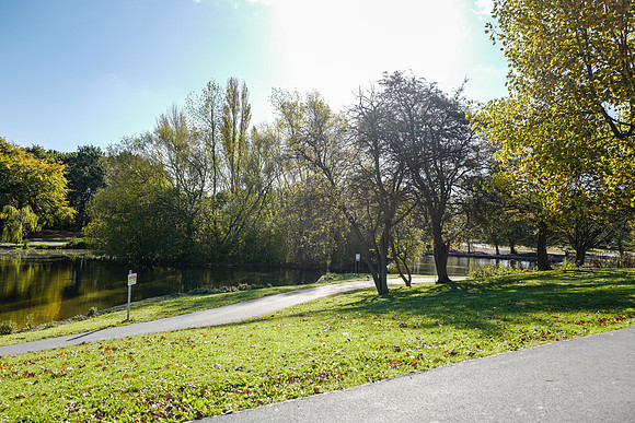 Cantley2-31