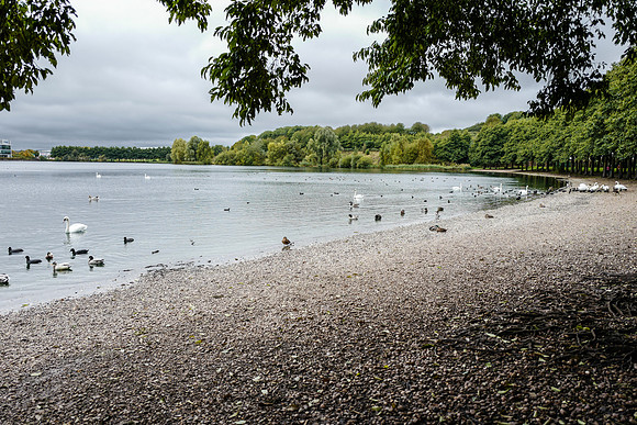 Cantley2-12