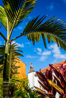 La Palma