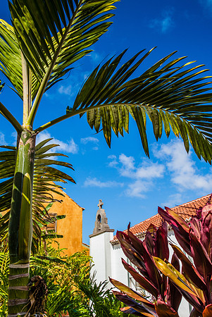 La Palma
